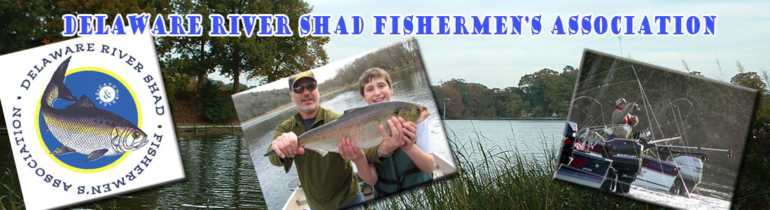 Fishing Log  Shad Fishing